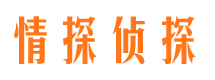 额济纳旗婚外情调查